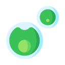 ico1