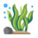 ico4